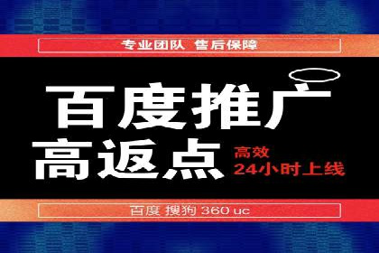 百度联盟推广网络覆盖的案例研究