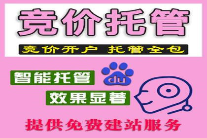 SEM代运营公司助力企业高效推广案例解析